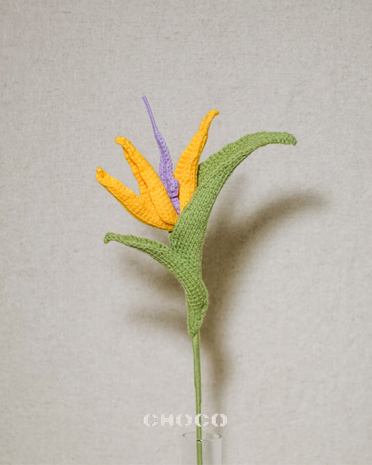 Bird of Paradise Flower