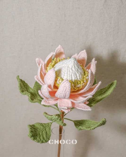 King Protea