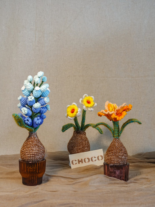 Blooming Bulbs Trio Collection