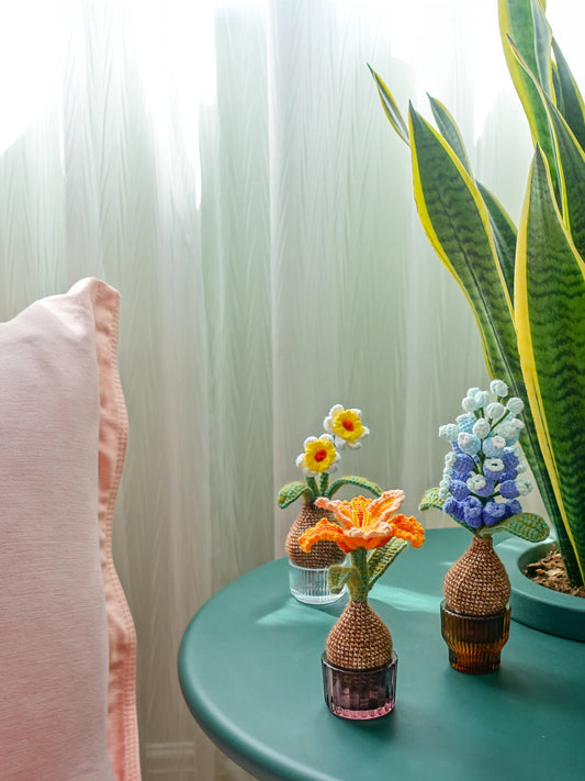 Blooming Bulbs Trio Collection