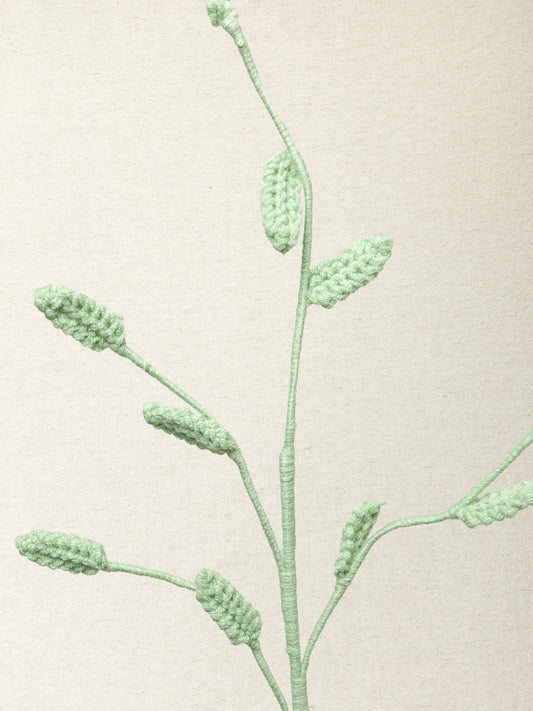 Wild Oat