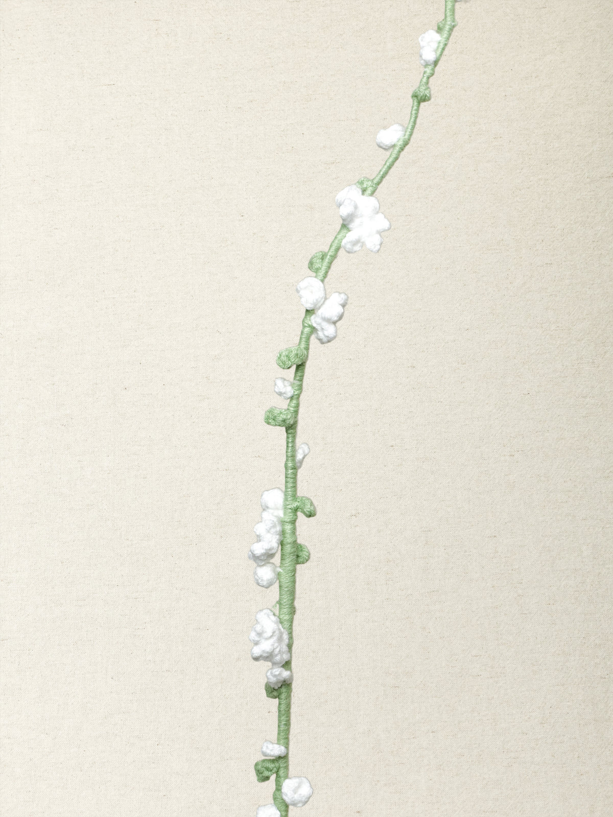 Snow Willow