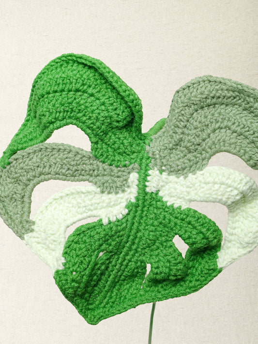 Monstera Leaf