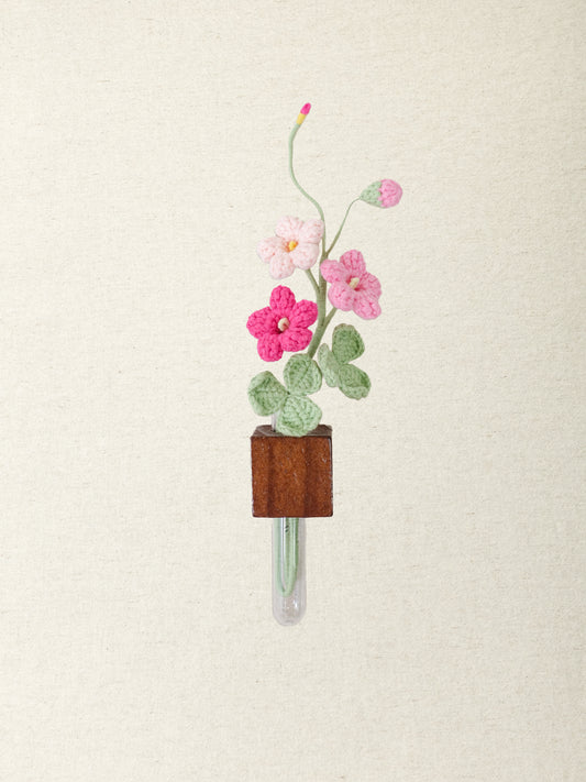 Oxalis Magnet