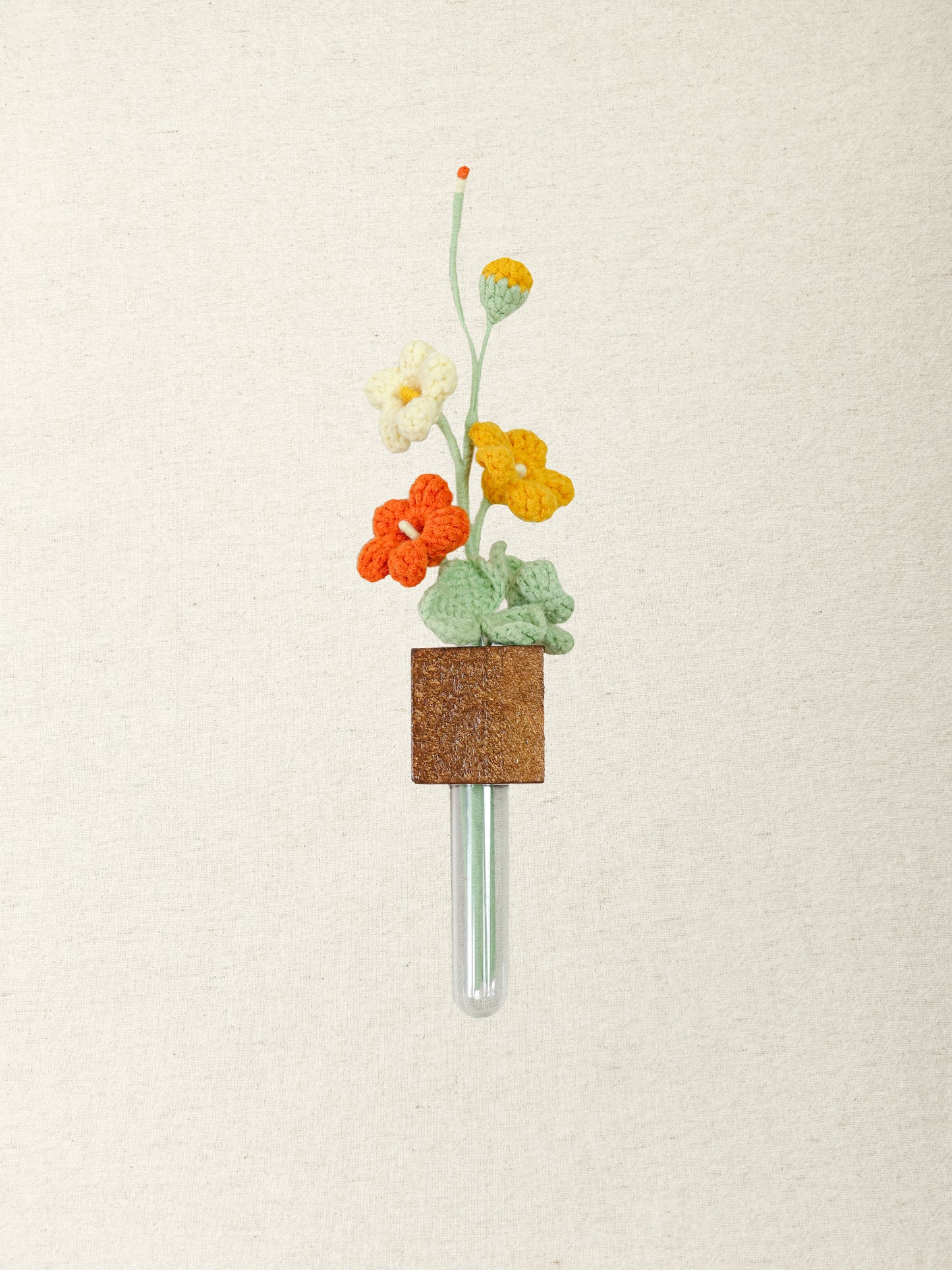 Oxalis Magnet