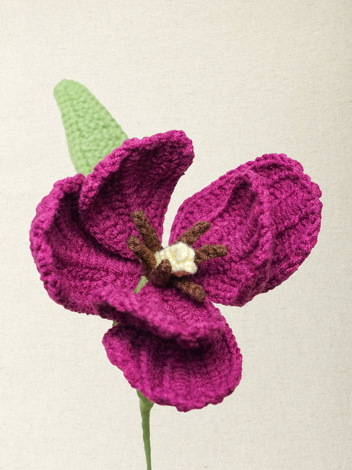 Premium Tulip · 2 colours
