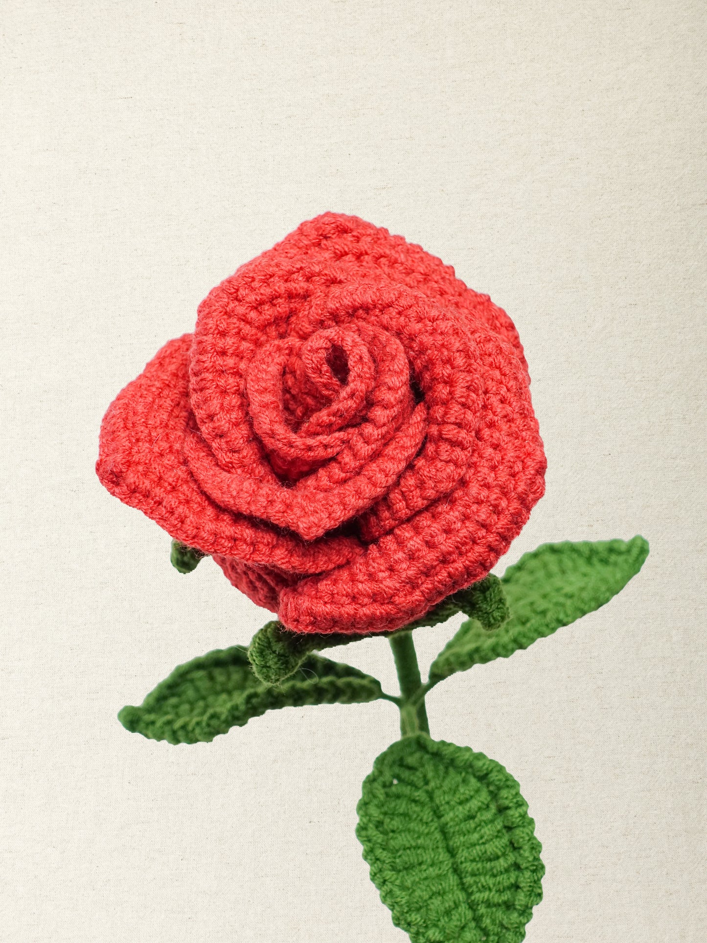 Rose · 3 colours