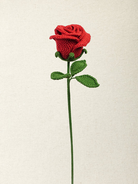 Rose · 3 colours