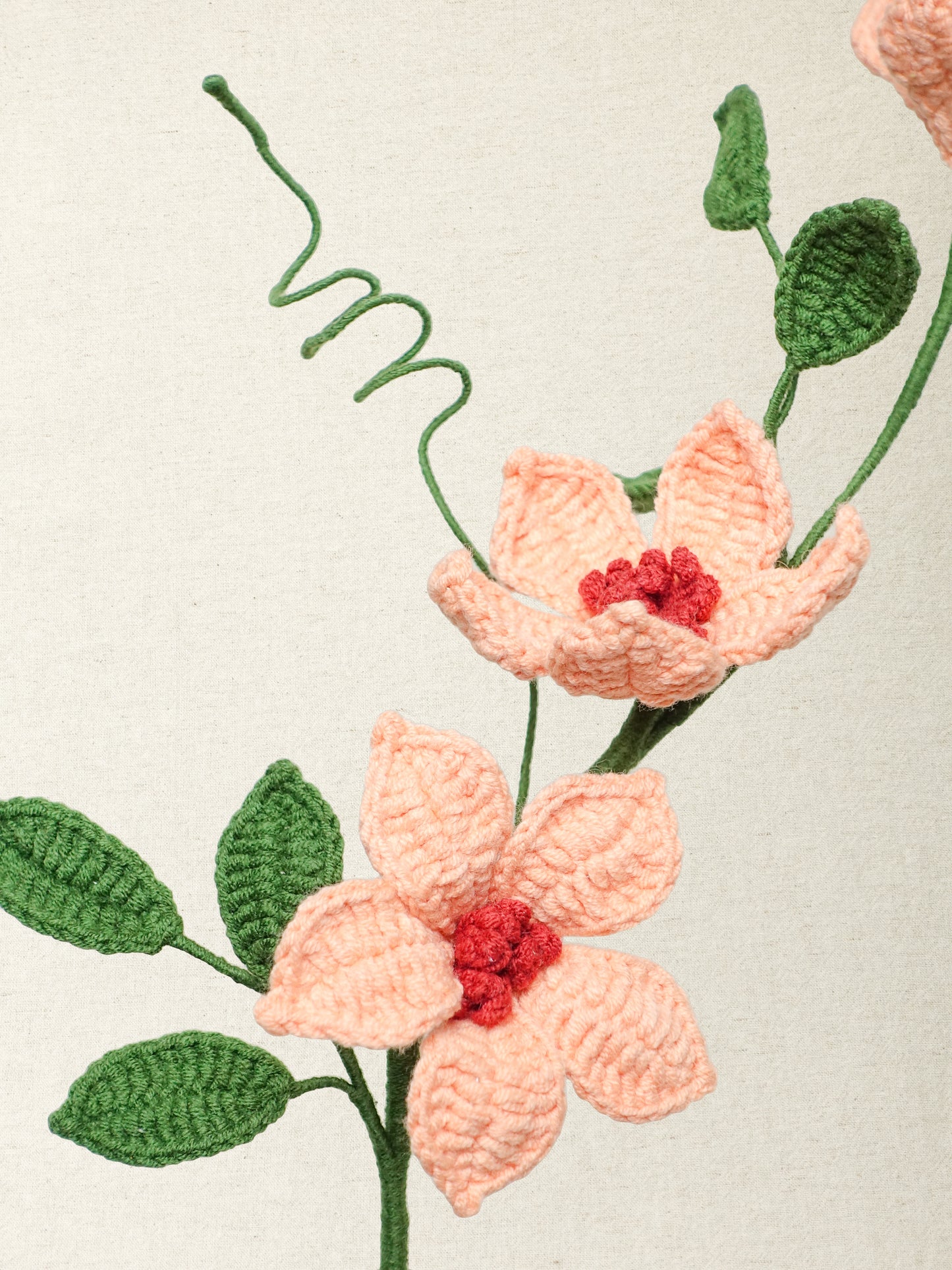 Clematis · 2 colours