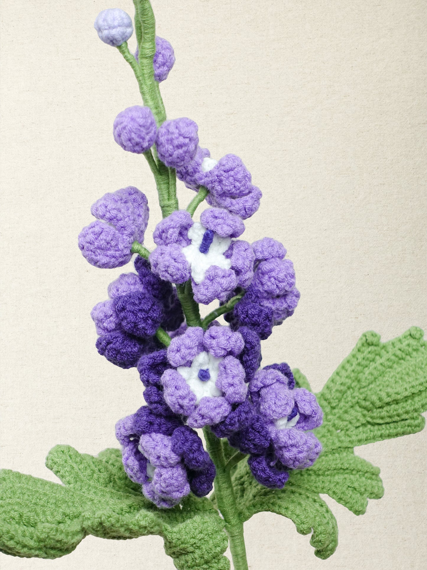 Delphinium · 3 colours