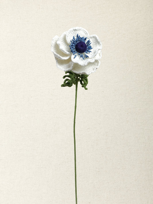 Anemone · 3 colours