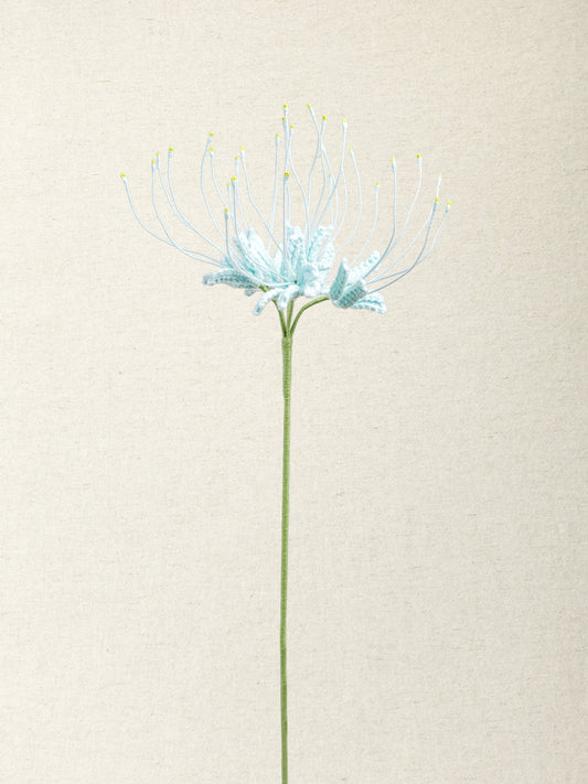 Spider Lily · 4 colours