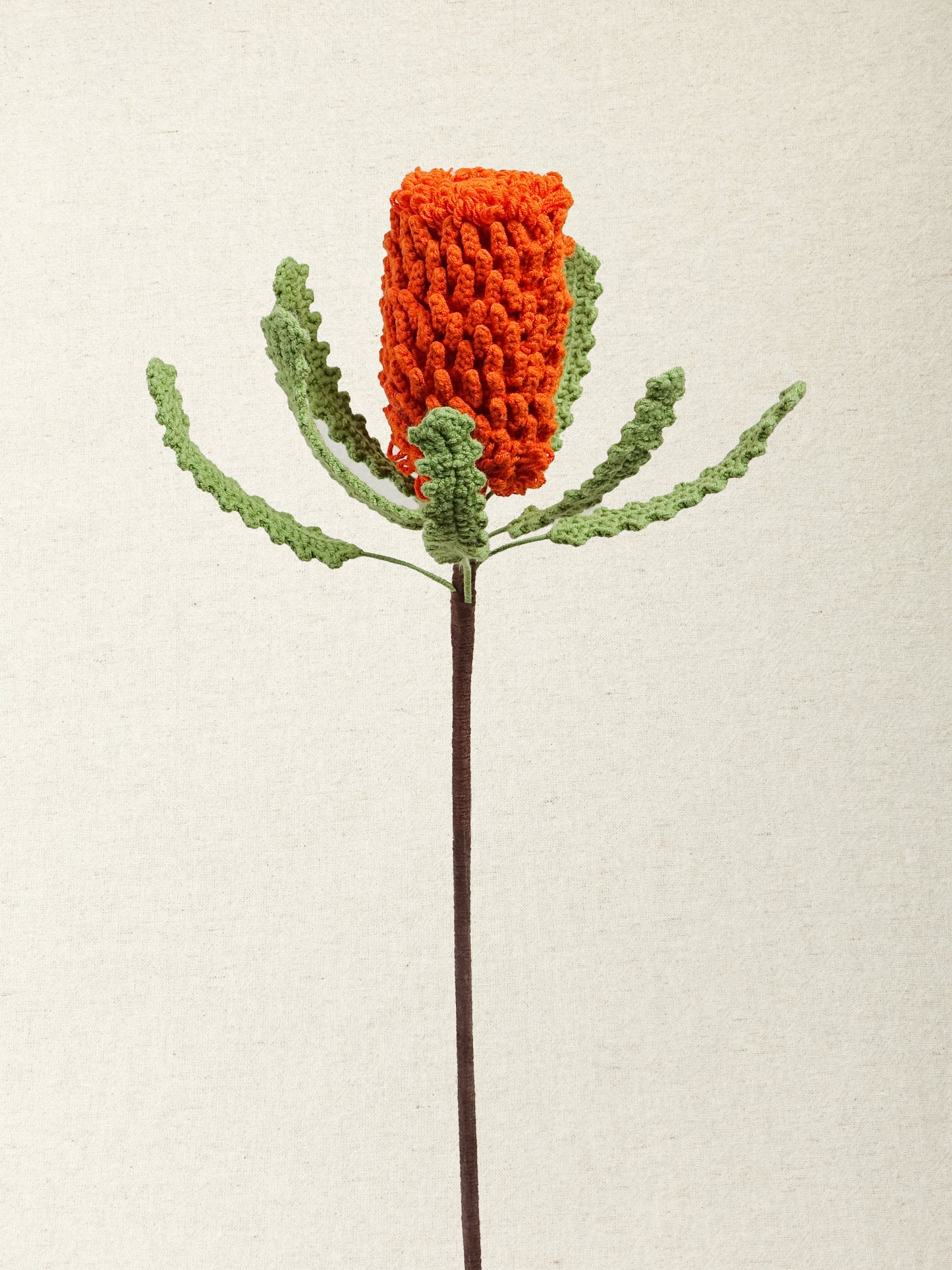 Banksia