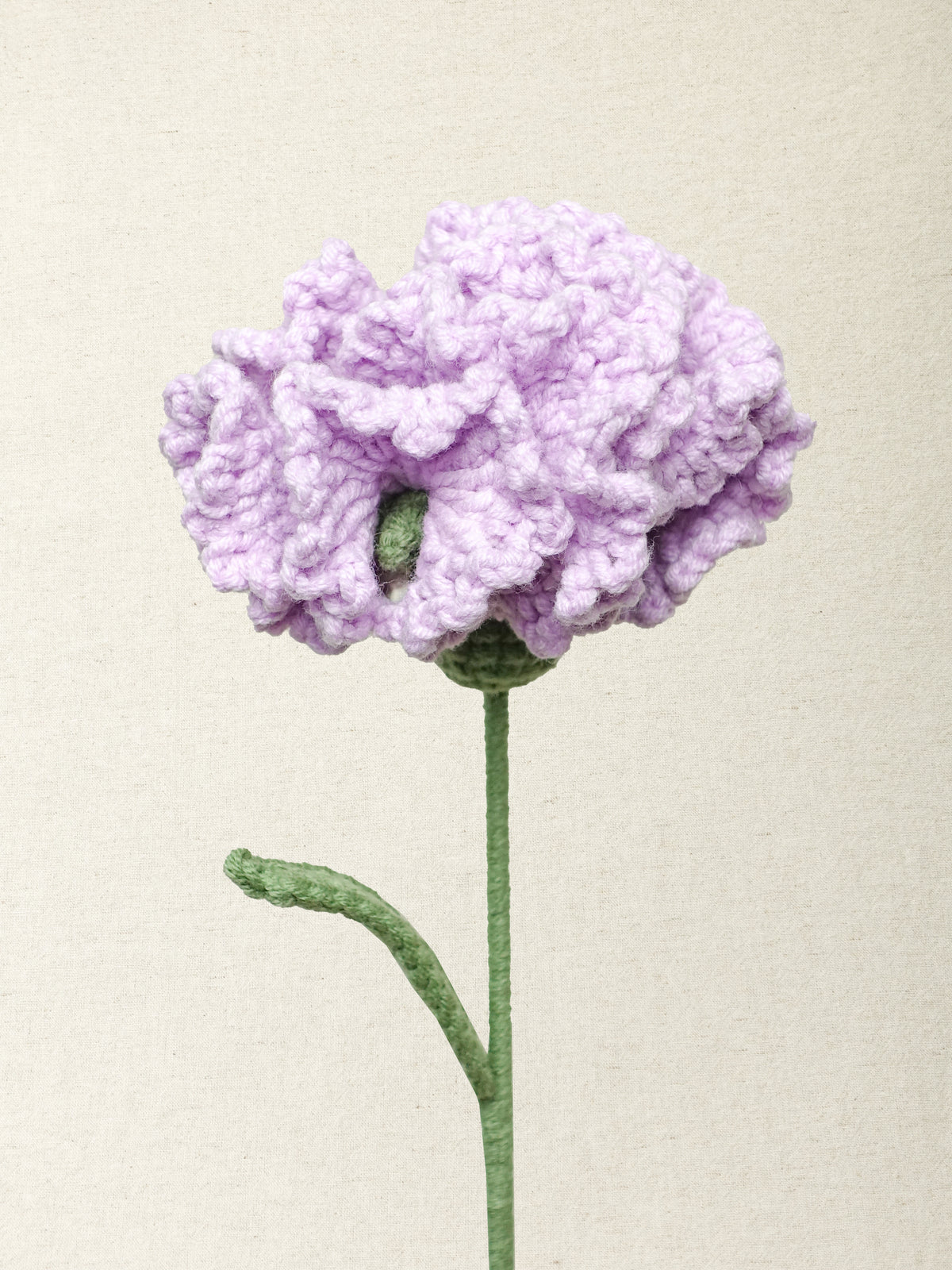 Carnation · 2 colours