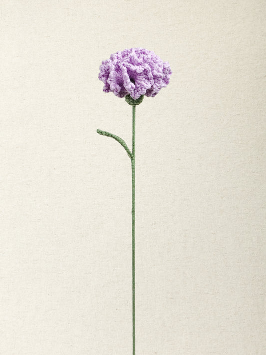 Carnation · 2 colours