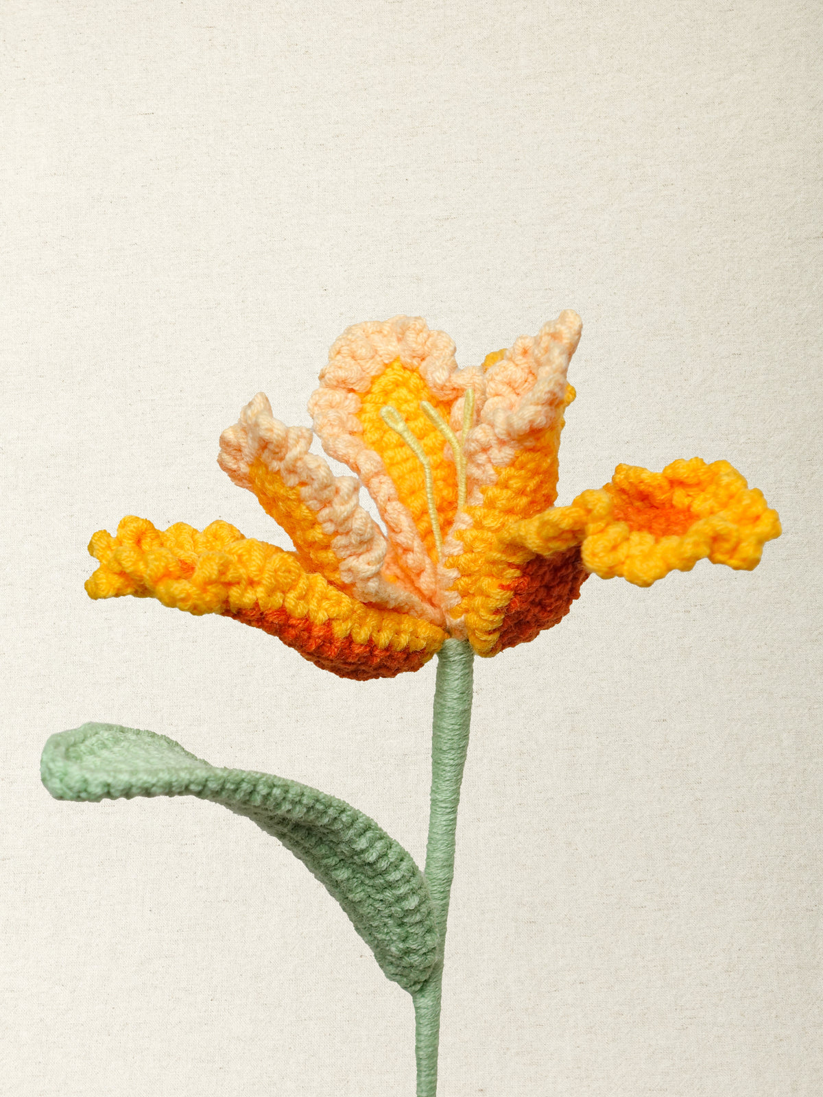 Parrot Tulip · 2 colours