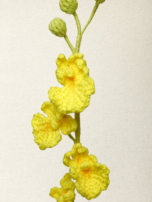 Dancing Orchid