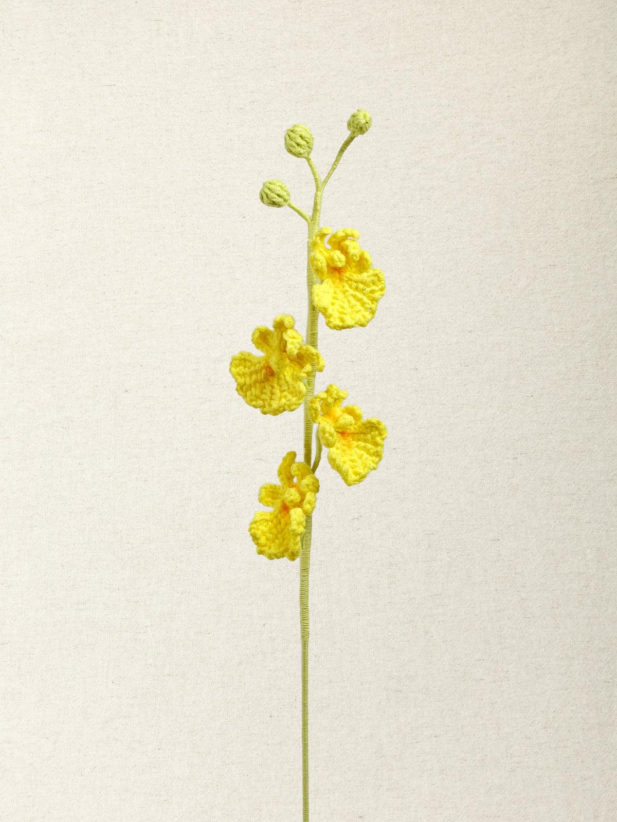Dancing Orchid