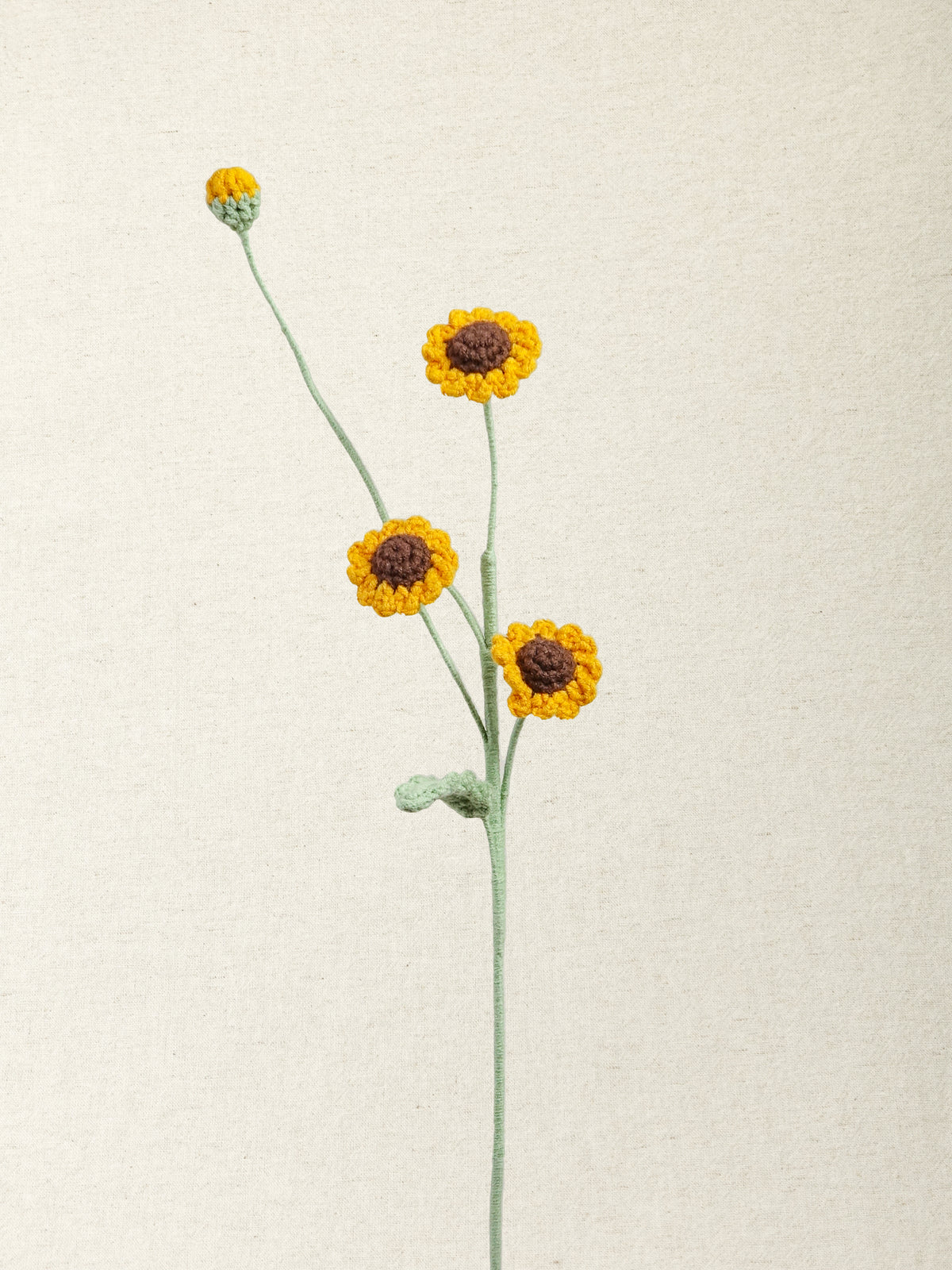 Chamomile Daisy
