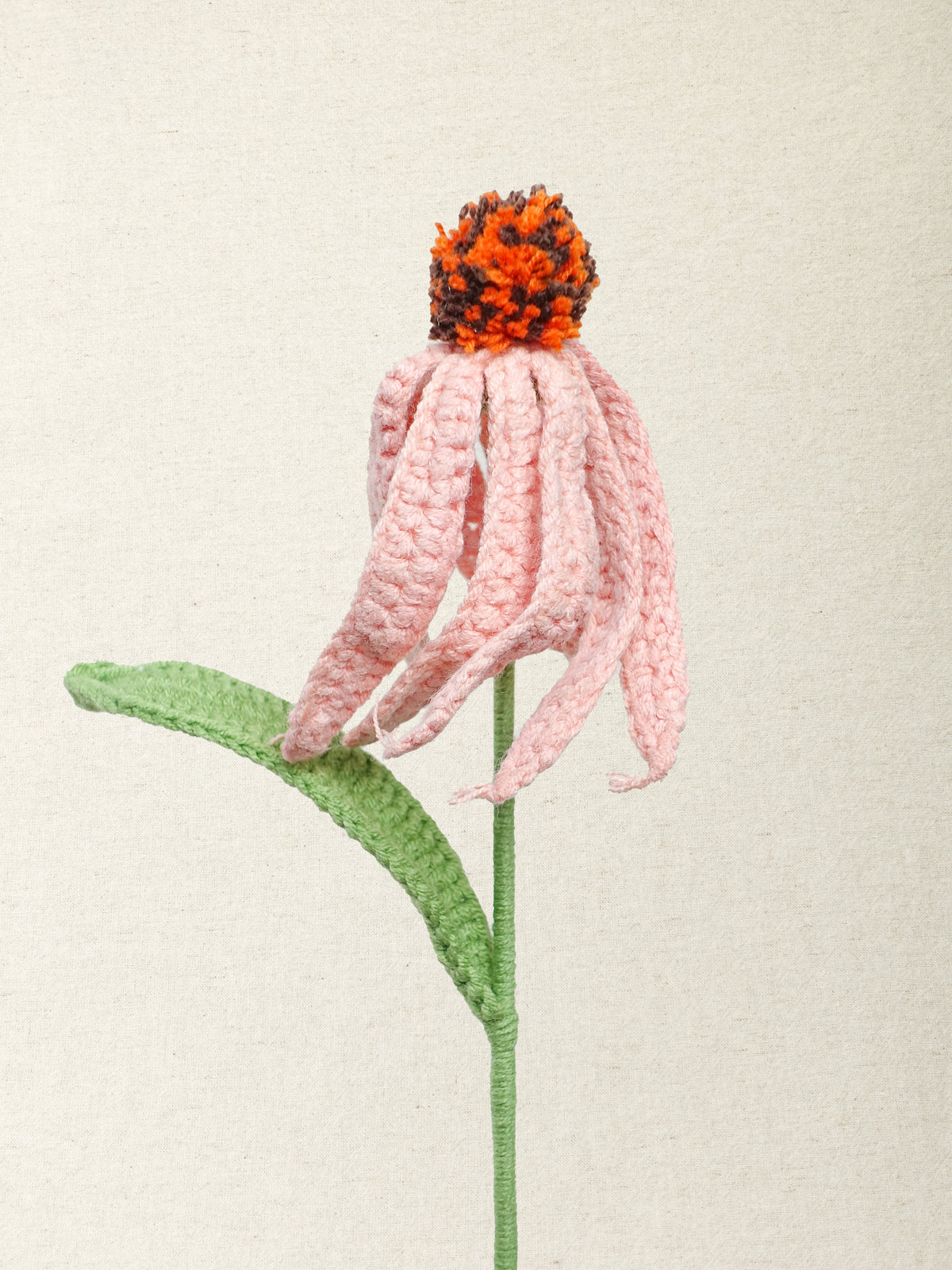 Coneflower · 3 colours