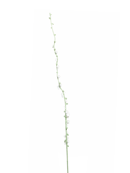 Snow Willow