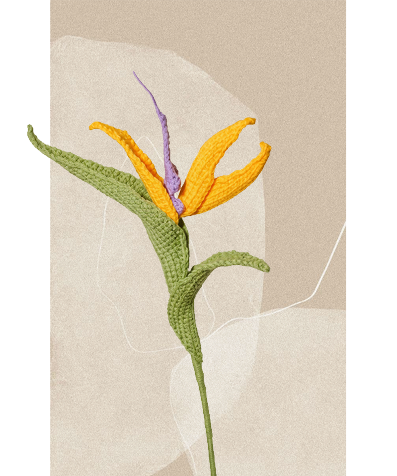 Bird of Paradise Flower
