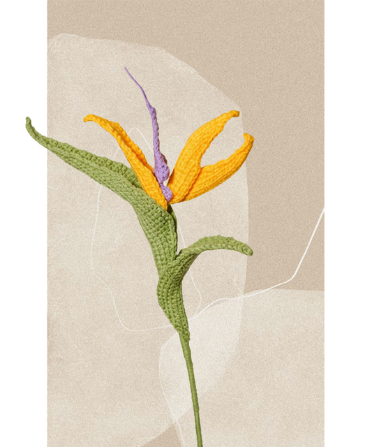 Bird of Paradise Flower