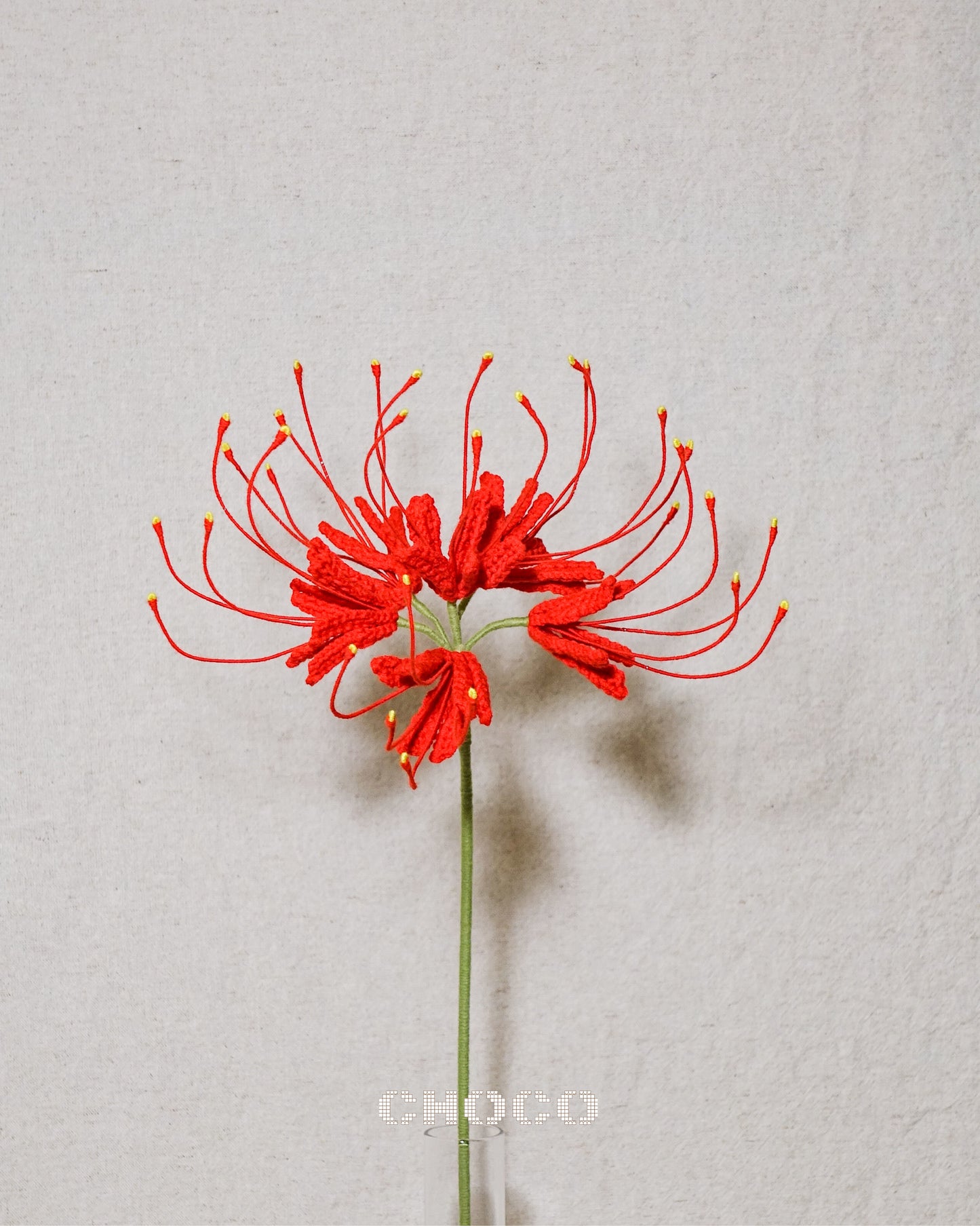 Spider Lily