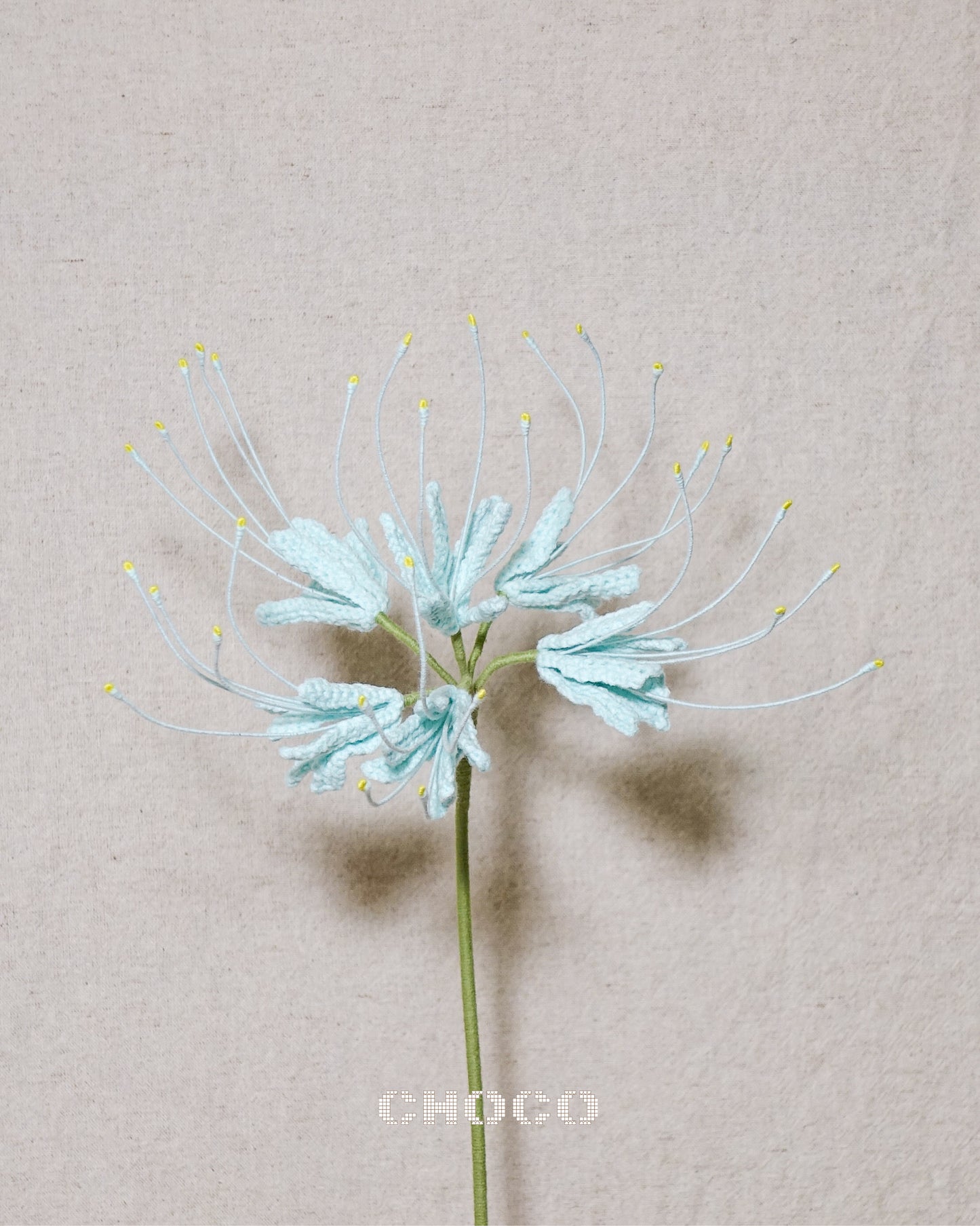 Spider Lily