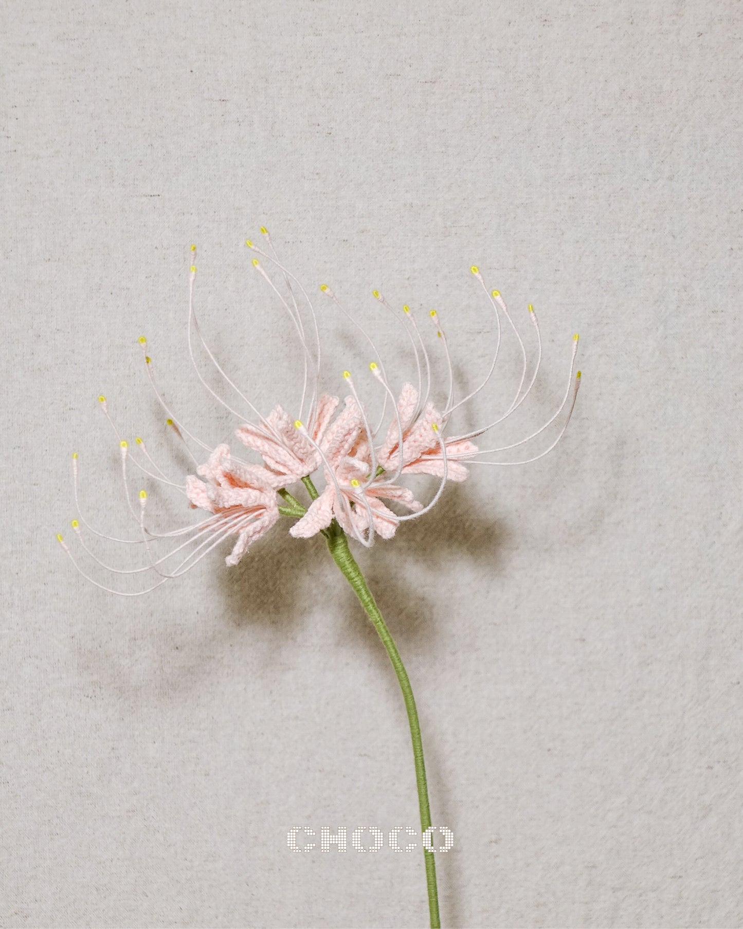 Spider Lily
