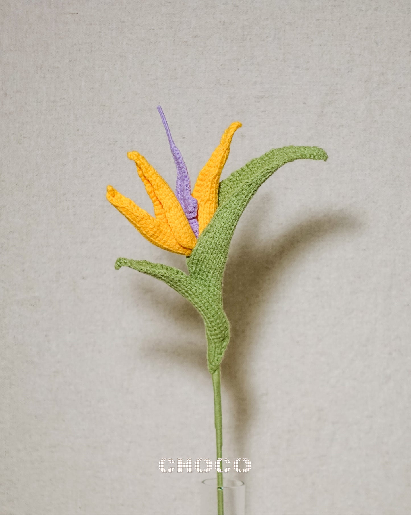 Bird of Paradise Flower