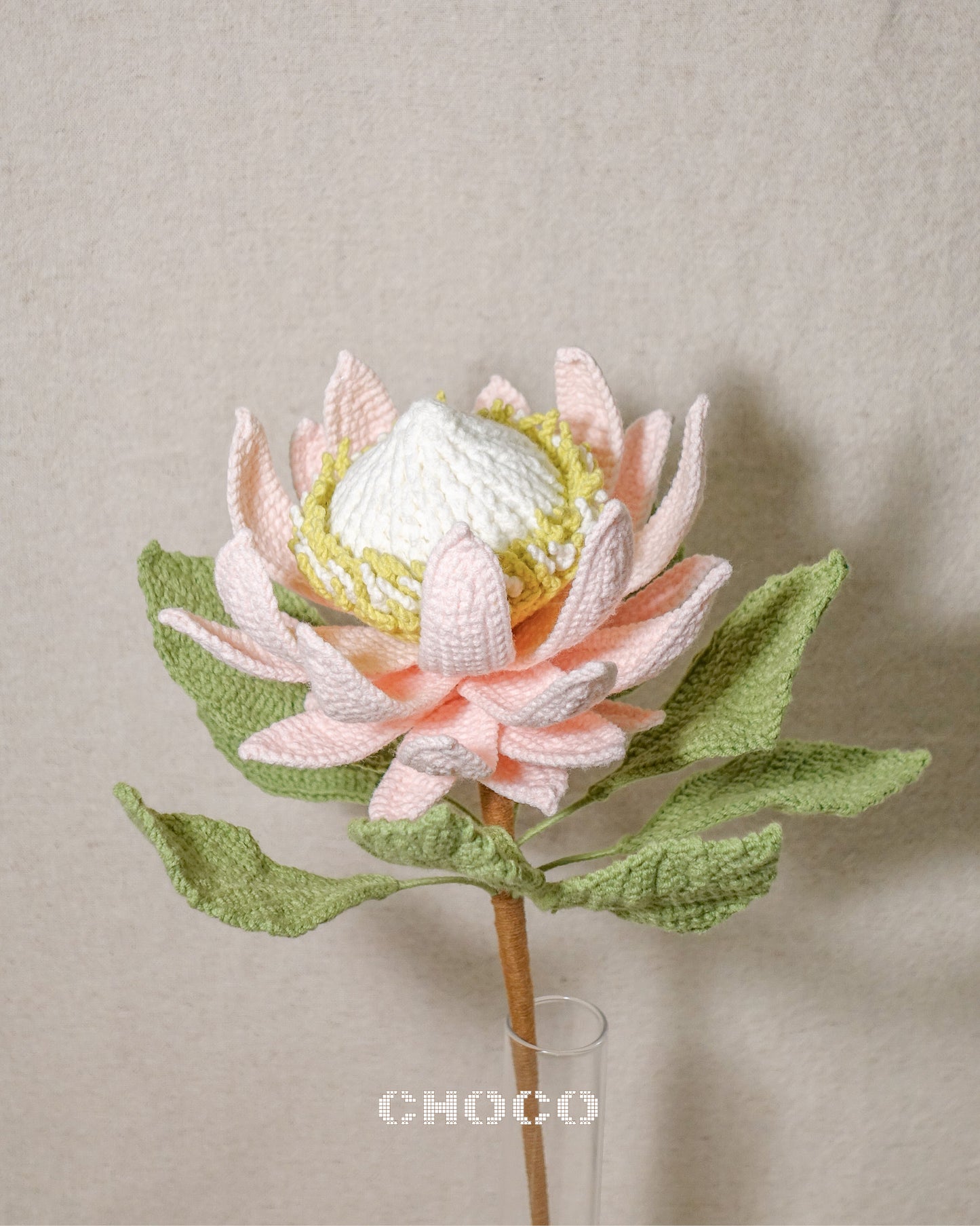 King Protea