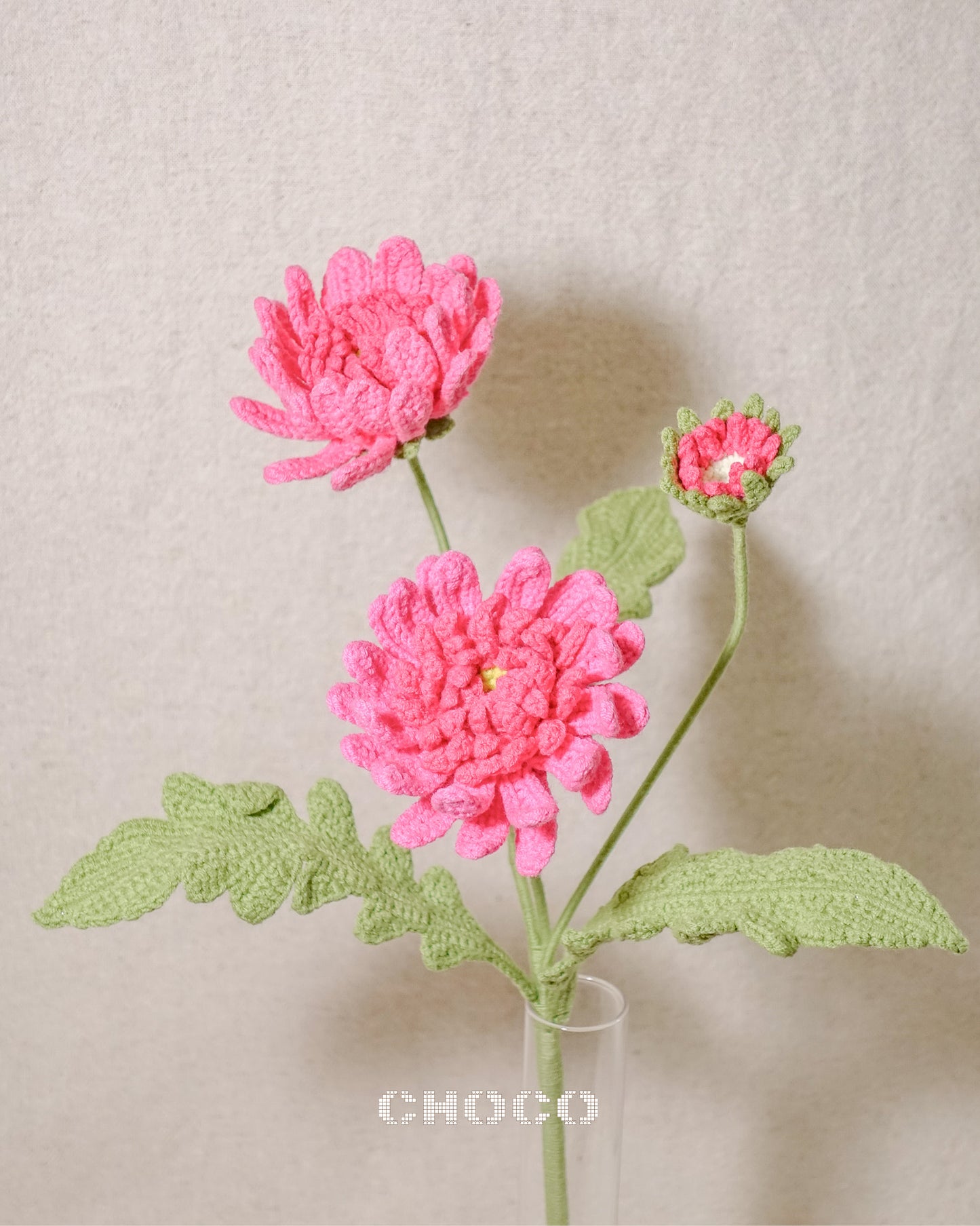 Gerbera