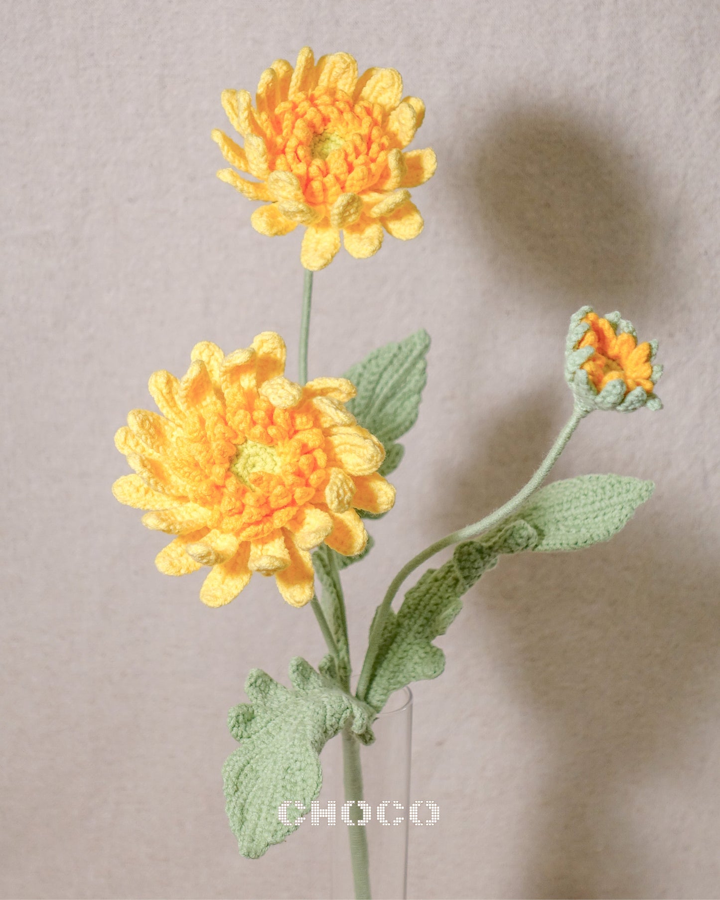 Gerbera