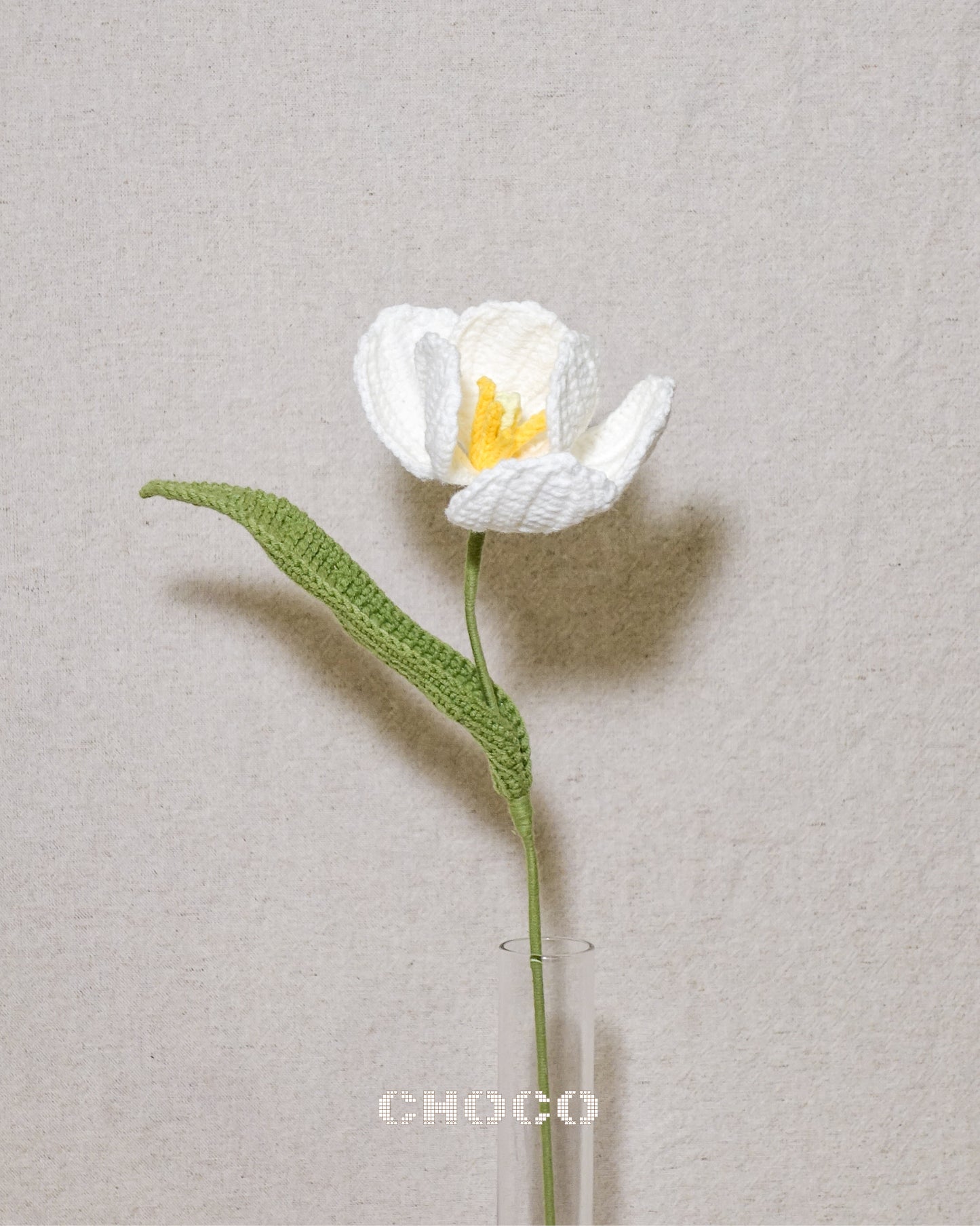 Premium Tulip