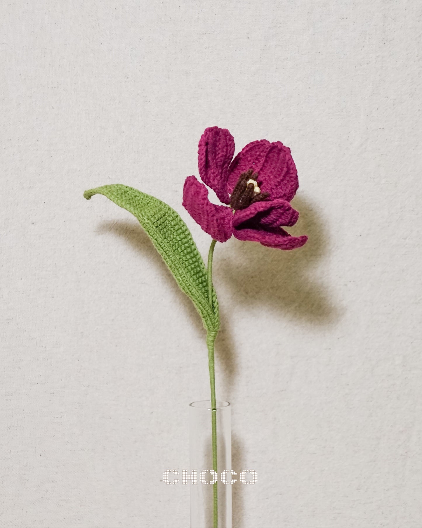 Premium Tulip