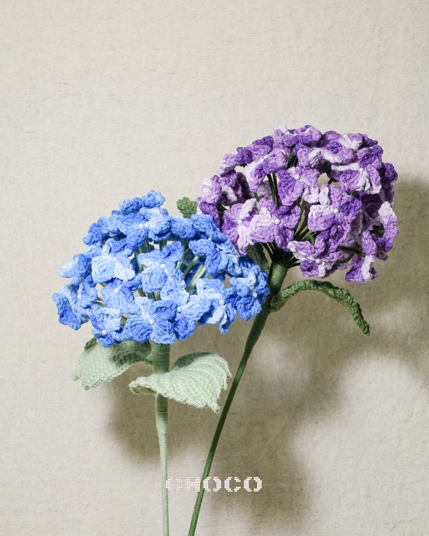 Hydrangea