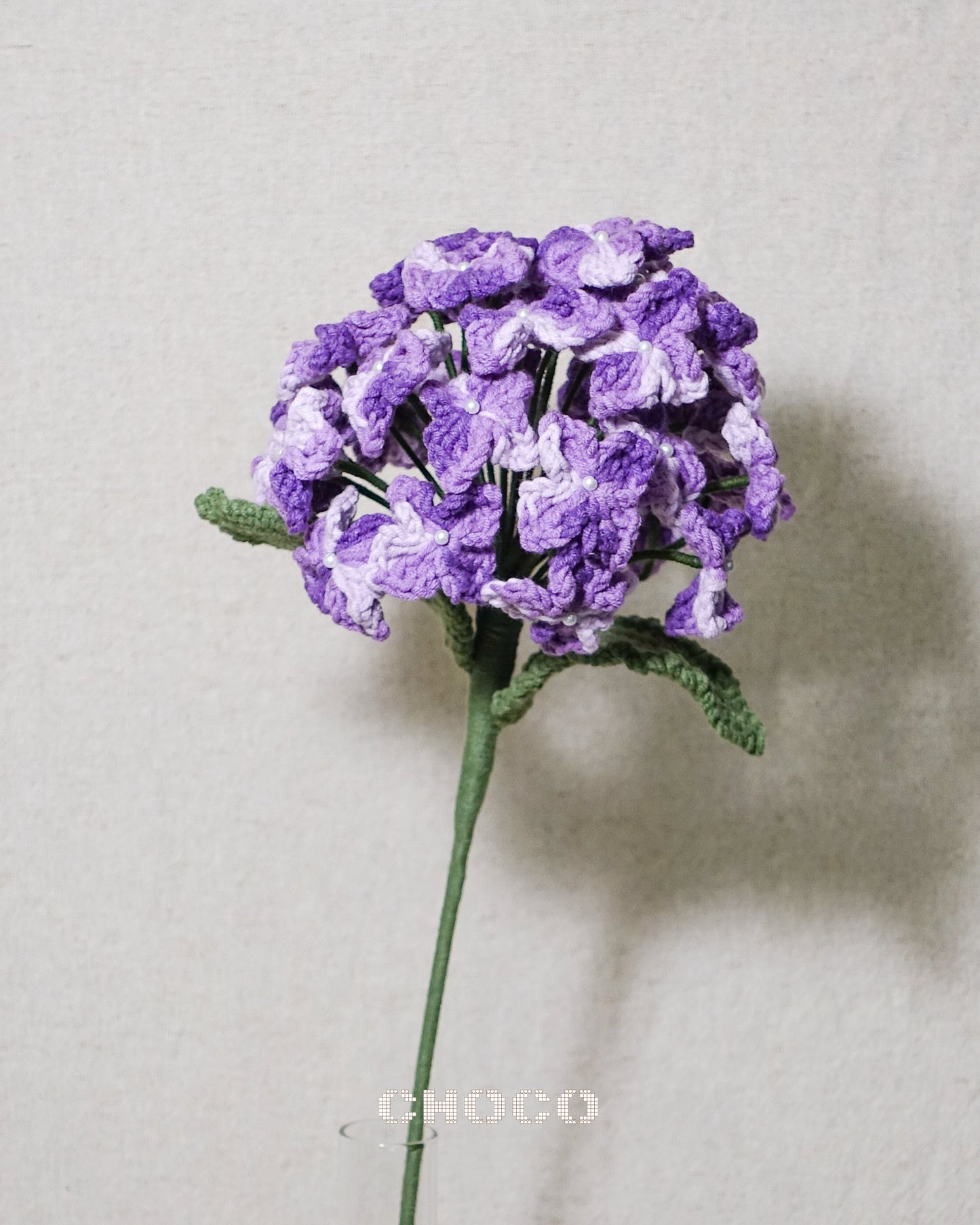 Hydrangea