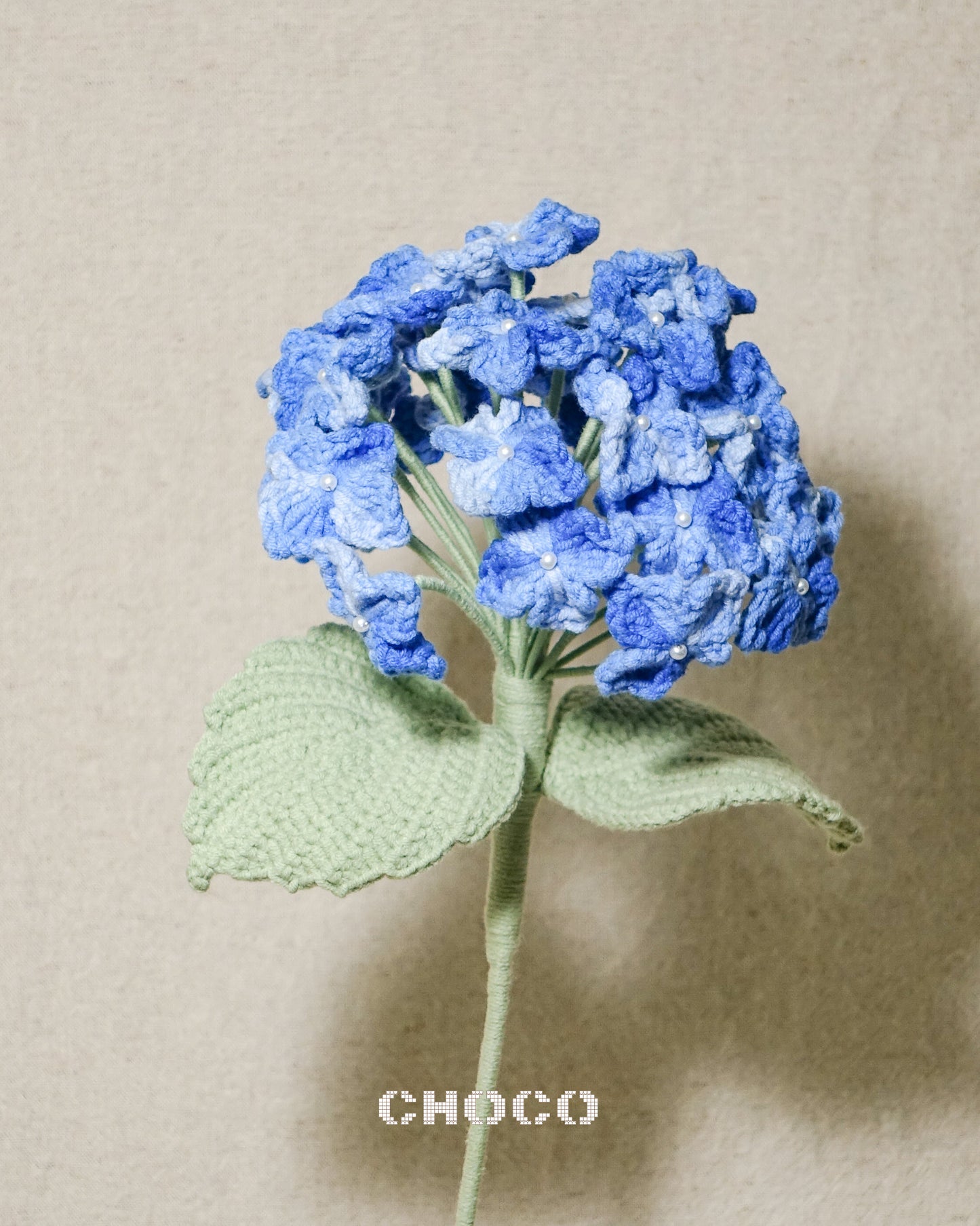 Hydrangea
