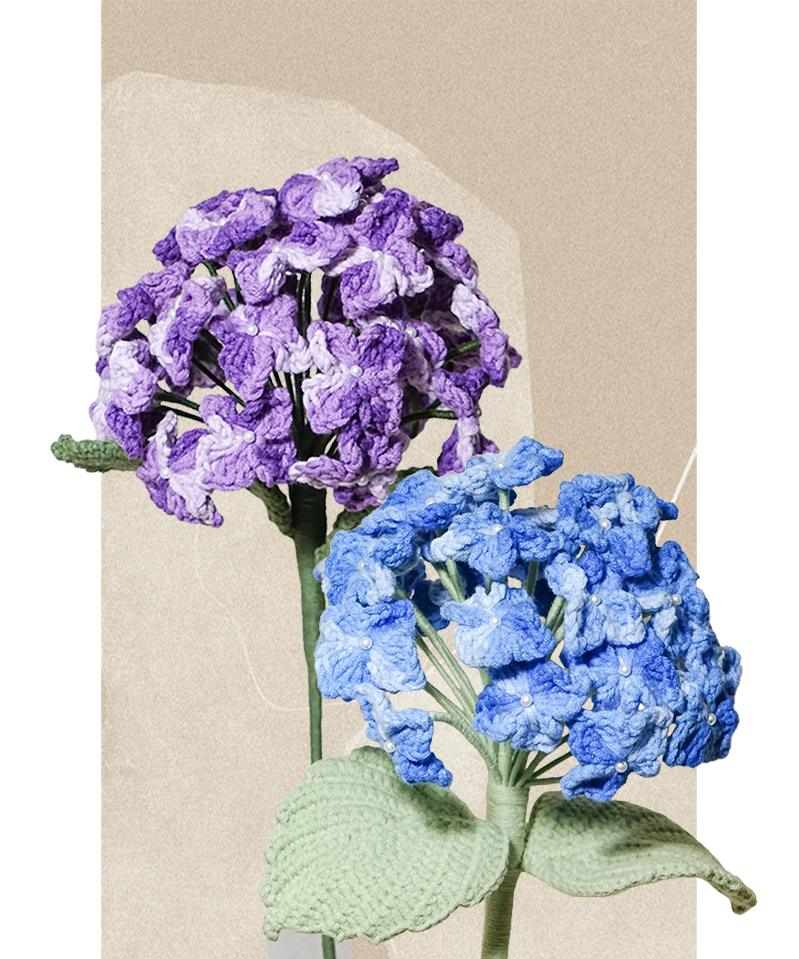 Hydrangea