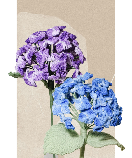 Hydrangea