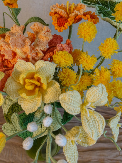 Citrus Solstice