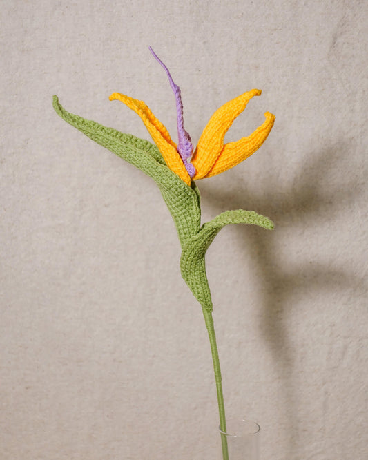 Bird of Paradise Flower