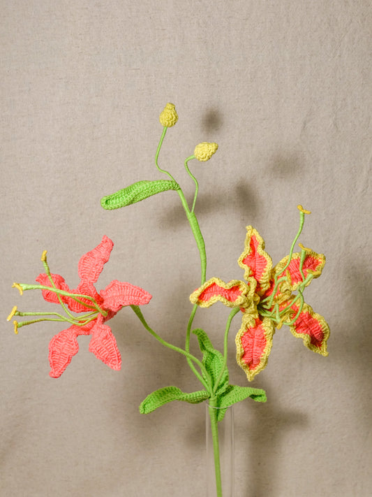 Gloriosa