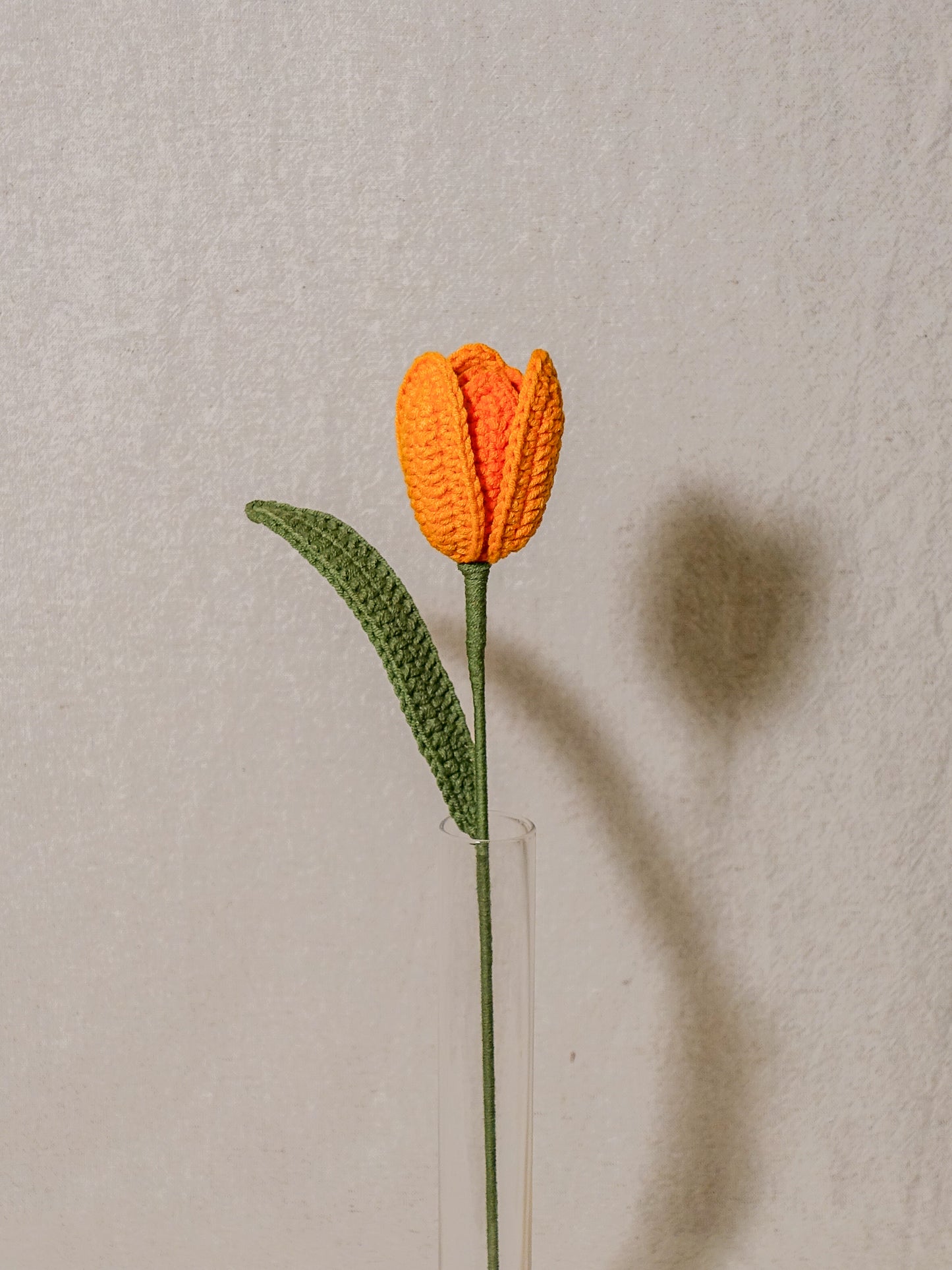 The Signature Tulips