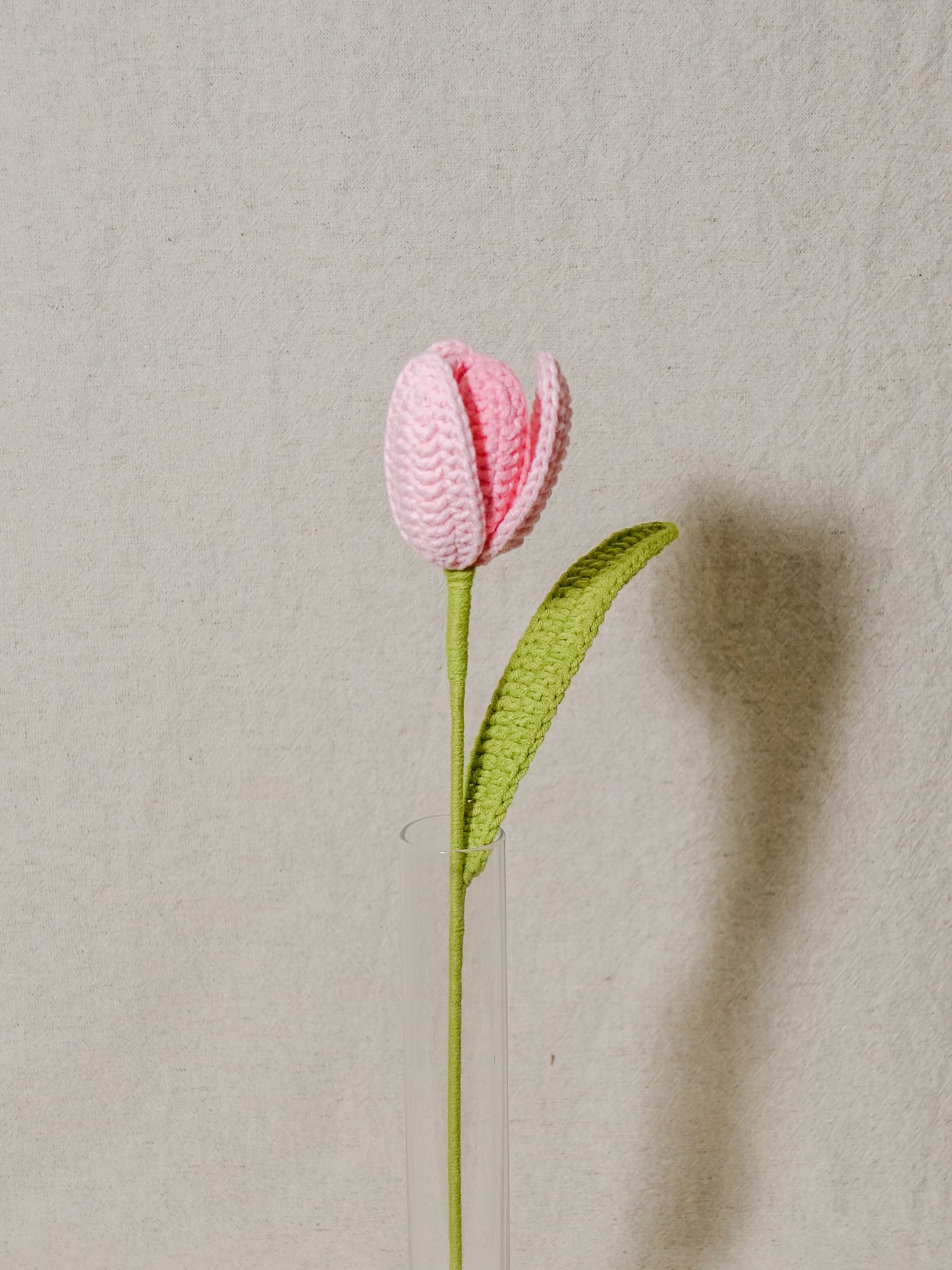 The Signature Tulips