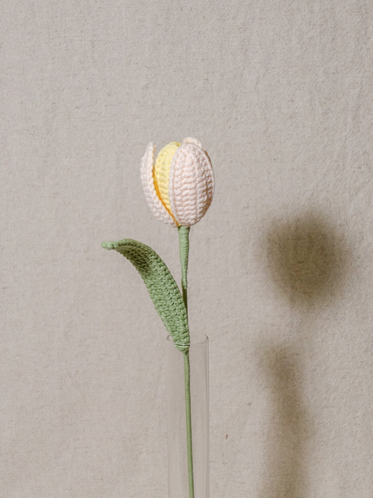 The Signature Tulips