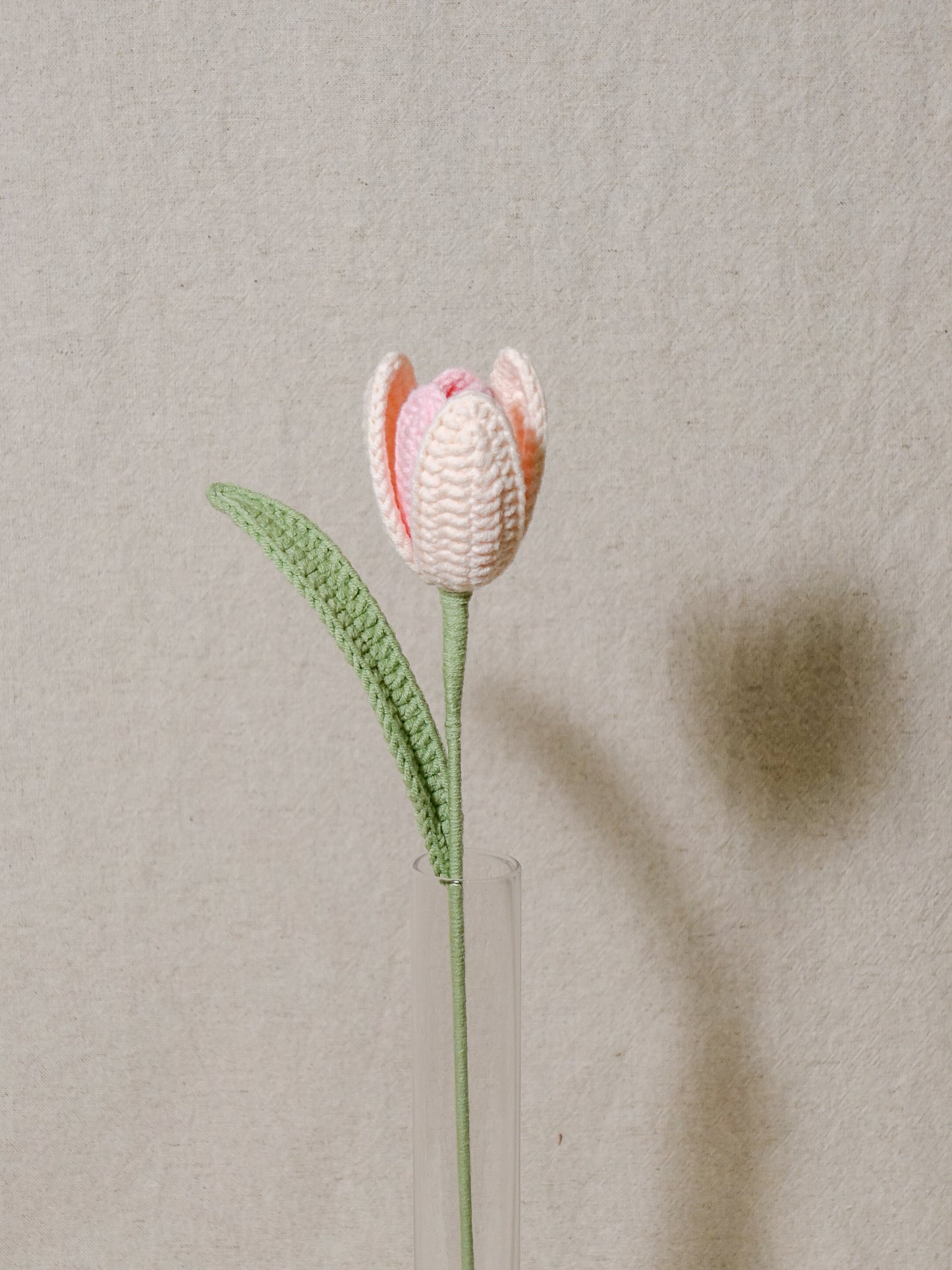 The Signature Tulips