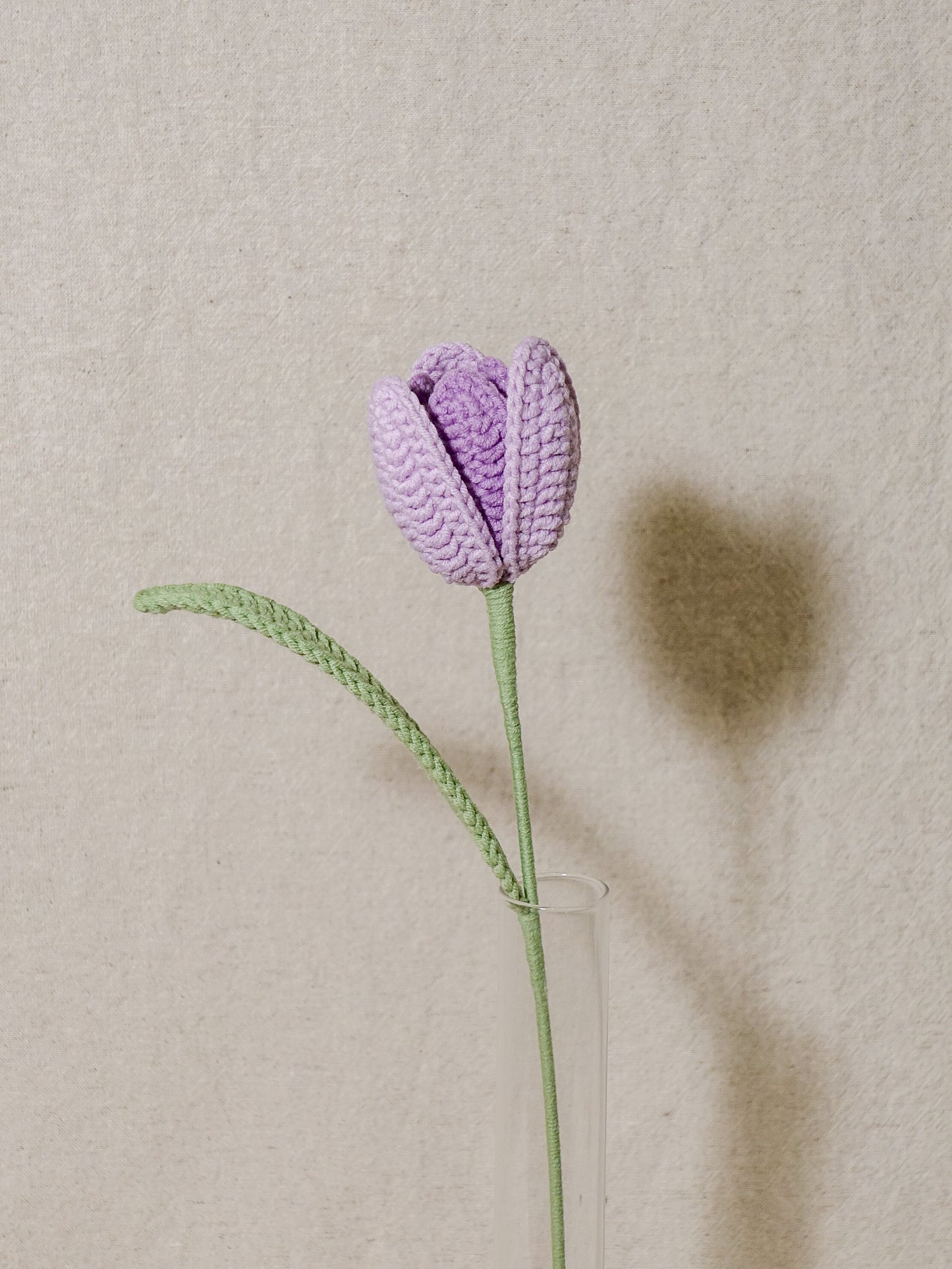 The Signature Tulips