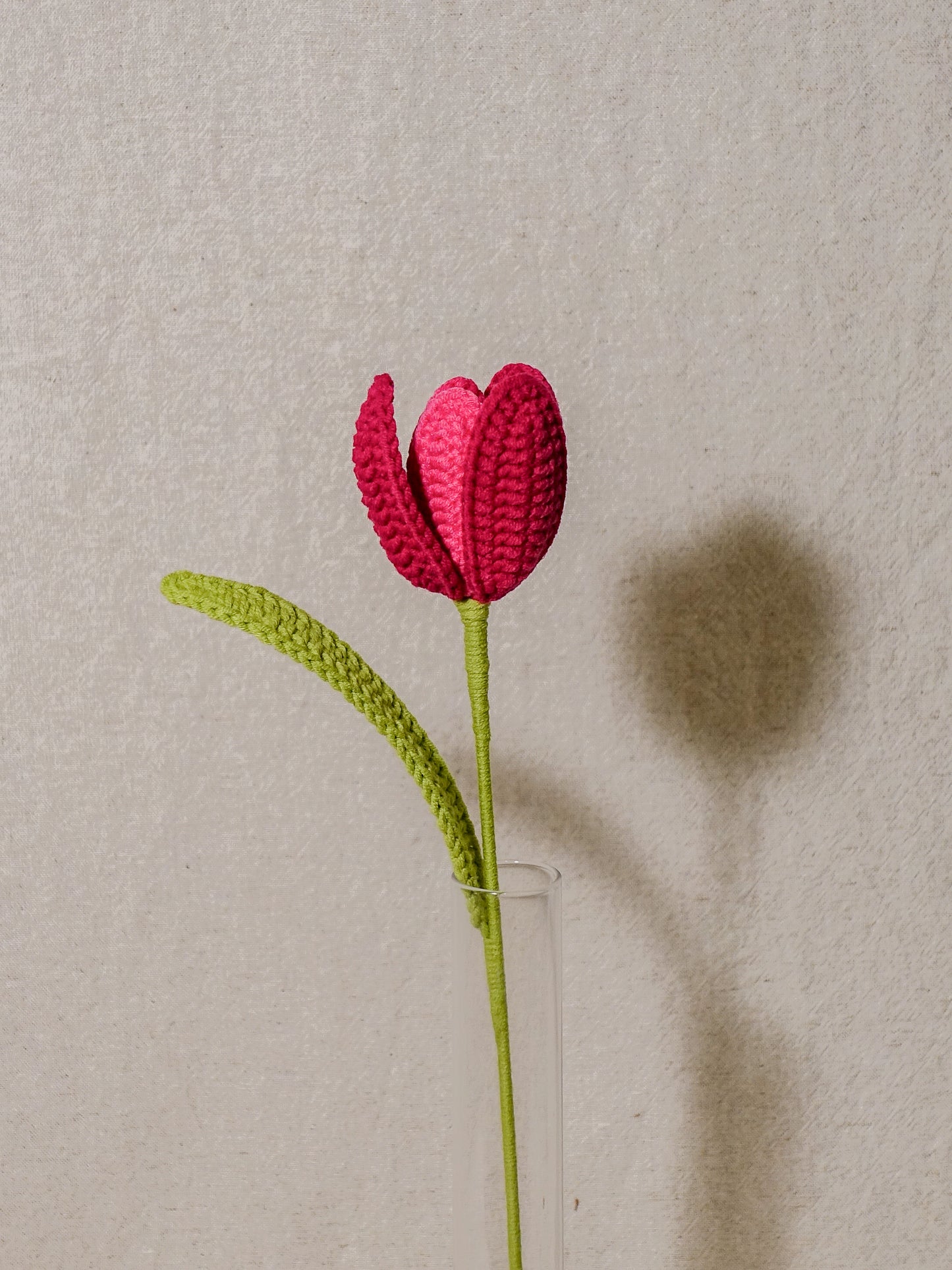 The Signature Tulips